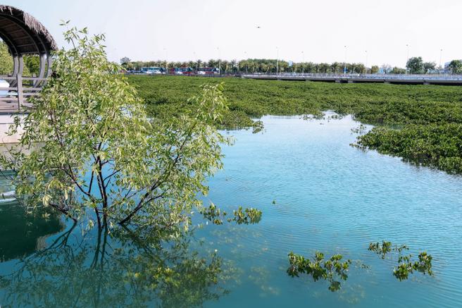 在厦门环东海域东北角,同安湾湾顶,藏着
